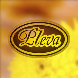 Pleva SK