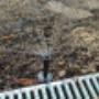 20220715_161854 - kopie.jpg