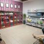 Salón vnútri 2