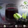 Obr-Aronia-1.jpg