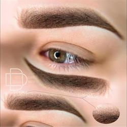 Phibrows Daniela