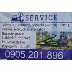 A. P. B. SERVICE