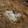 3B_Inžinierskogeologický prieskum svahových deformácií2.JPG