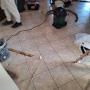 IMG-20231122-WA0006.jpg
