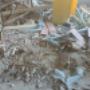IMG-20230919-WA0002.jpg