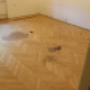 IMG-20230920-WA0030.jpg