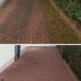 Screenshot_20240118_085721_Pinterest.jpg