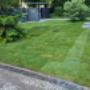image12.jpeg