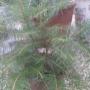 2024-03-05_153007.jpg
