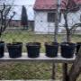 2024-03-05_153041.jpg