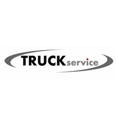 TRUCK SERVICE DS - Servis nákladných vozidiel