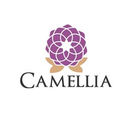 Galéria krásy a zdravia Camellia