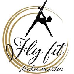 Fly Fit Studio Martin
