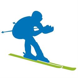 Professional Šport