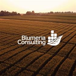 Blumeria Consulting
