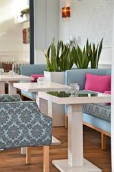 CAFFE 33
