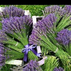 Lavender Tetria restaurant