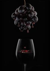 Vivino.sk