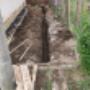 IMG_20220628_083407.jpg