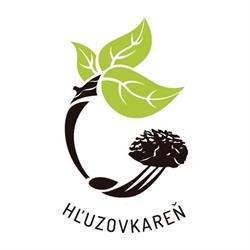 Hluzovkaren