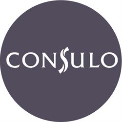Consulo - účtovnícka firma