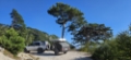 Minikaravan