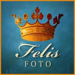 Felis Foto