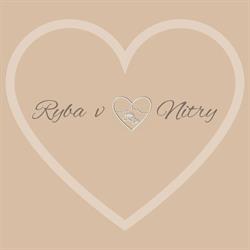 Ryba v srdci Nitry