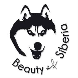 Beauty of Siberia Kennel