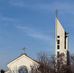 Pavlínska farnosť Trnava - Tulipán