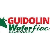 Guidolin.sk