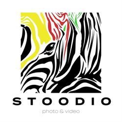 Zebra Stoodio