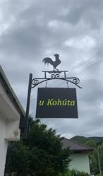 U Kohúta