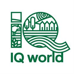 IQ WORLD