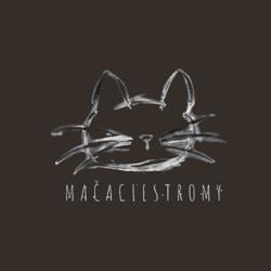Mačaciestromy