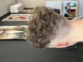 Trvala pre mužov