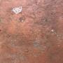 IMG_20241117_183719.jpg