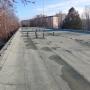 IMG_20250114_125834.jpg