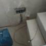 IMG-20250210-WA0010.jpg