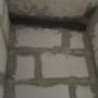 IMG-20250210-WA0016.jpg