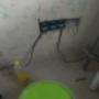 IMG-20250210-WA0006.jpg