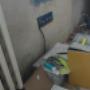 IMG-20250210-WA0004.jpg