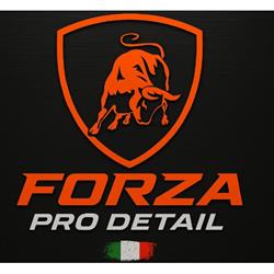Forza Pro Detail - autodetailing Prešov