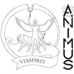 Via Spirit & Animus Gym