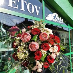 Ateliér kvetov Clivia