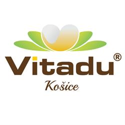 Vitadu Košice
