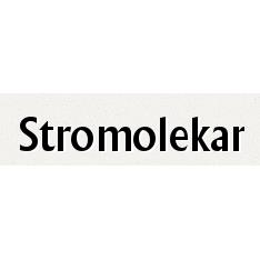 Dušan Hudík - STROMOLEKAR.SK