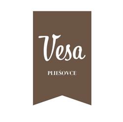 VESA Pub