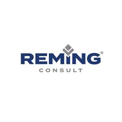 REMING CONSULT