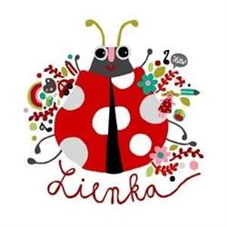Prvá Montessori SMŠ Lienka - Martin